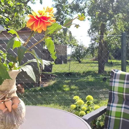 Homestay Garten-haus Blengow