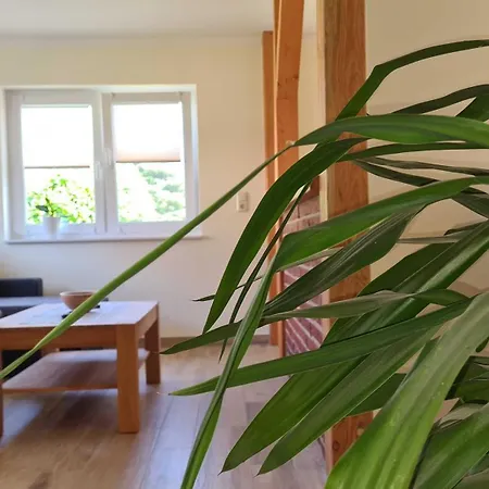 Homestay Garten-haus Blengow